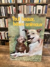 Tout beaux,bebes animaux　かわいいどうぶつのあかちゃん