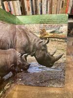 Un  petit tour au Zoo　どうぶつえんさんぽ