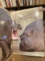 Un  petit tour au Zoo　どうぶつえんさんぽ