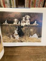 David Shepherd: The Man and His Paintings