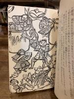 わたしの太閤記 千成びょうたん