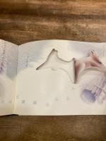 The Snowy Path: A Christmas Journey