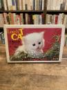 カード式　Lovely CAT　子猫の本
