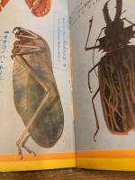 なぜなにびっくり世界一