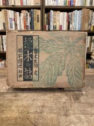 橡ノ木の話