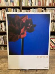 日常生活 : 写真の日々、日々の写真