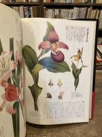 花の王国