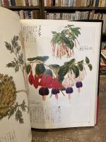 花の王国