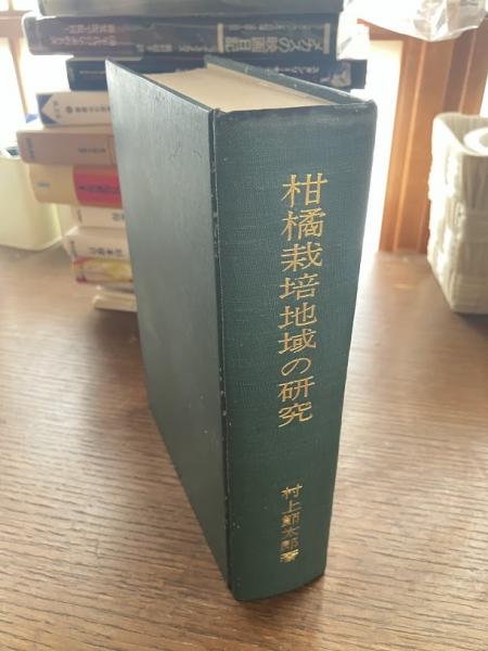 洋書　美術書籍 モリ.マリコ　DREAM TEMPLE　ドリーム.テンプル 洋書 美術書籍 モリ.マリコ DREAM TEMPLE ドリーム.テンプル 本