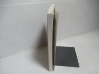 ゲージ場の量子論入門 : 質量ギャップとクォーク閉じ込めの解決に向けて