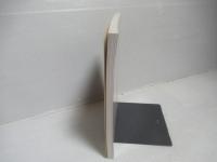 現代物理のための解析力学