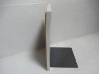 現代物理数学への招待 : ランダムウォークからひろがる多彩な物理と数理