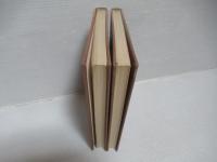 数学の歴史 : 現代数学はどのようにつくられたか 8a・8b 2冊セット