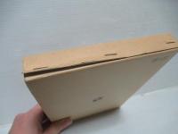 ドイツ公権理論の展開と課題 : 個人の公法的地位論とその権利保護を中心として