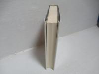 アメリカ法の歴史　上