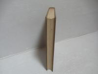 民族心理学 : 人類発達の心理史