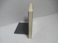 一般相対性理論の直観的方法