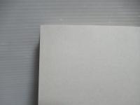 ヨーロッパ史のなかの裁判事例