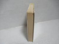 ケースワーク : 社会心理療法