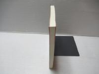 イスラエル法入門