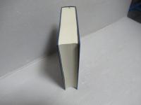 沖縄伊江島方言辞典　