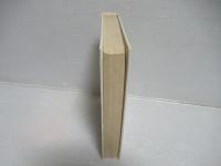 ケースワーク : 社会心理療法