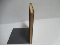 純粋数学の世界