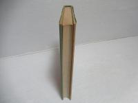 児童画の発達過程 : なぐり描きからピクチュアへ