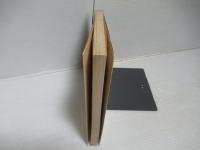 ニューギニア戦記