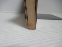 ニューギニア戦記