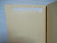 ニューギニア戦記