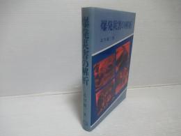爆発災害の解析
