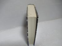 眼には眼を : 3つの眼による知の様式と対象域の地平