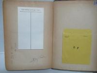 共形接続幾何学