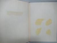 保型形式と整数論