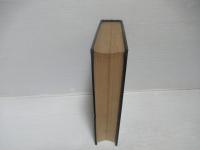 鉄鋼業発展史論