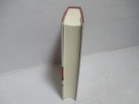 刑法・刑事政策と福祉 : 岩井宜子先生古稀祝賀論文集