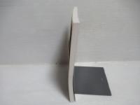 弦理論の代数的基礎 : 環・加群・圏から位相的弦理論, ミラー対称性へ