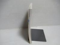 共形場理論 : 現代数理物理の基礎として