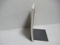 超重力理論 : 超弦理論における役割