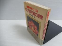 六次元曼陀羅の原理 : 頭脳明晰の王道