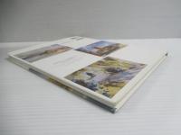 チェンバレン水彩画集 : 自然の光と影を描く