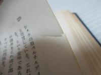聖母マリアの栄光　改訂版.