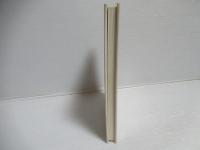 分数量子ホール効果