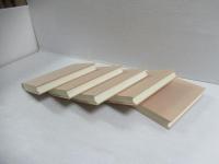 飯沼二郎著作集　全5冊揃セット