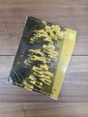建築　1965年5月　第57号