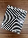 Jun Kaneko