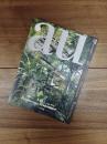 建築と都市　a+u　2013年10月号　No.517　13:10　特集　A49――進化するヴァナキュラリズム