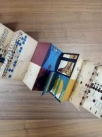 Folded Story 13: Homo Sapiens?