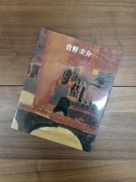 菅野圭介　色彩は夢を見よ　2010-2011